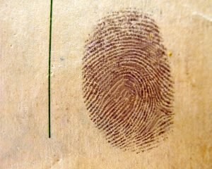 dónde estudiar criminalística en España